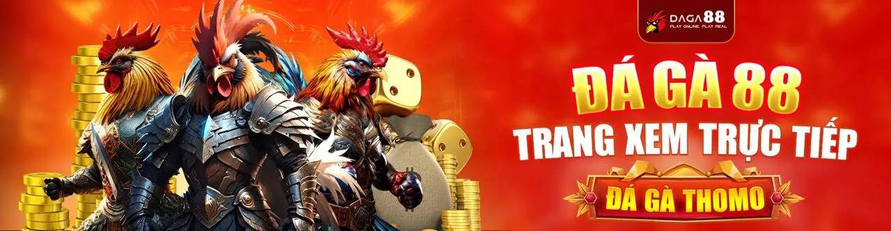 Mẹo và chiến lược cá cược thể thao Zalo29 Win